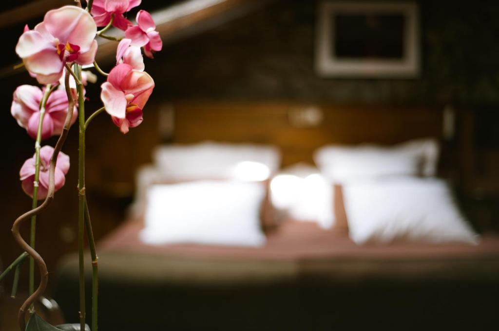 Hostal Cisco De Sans Andorra la Vella Cameră foto